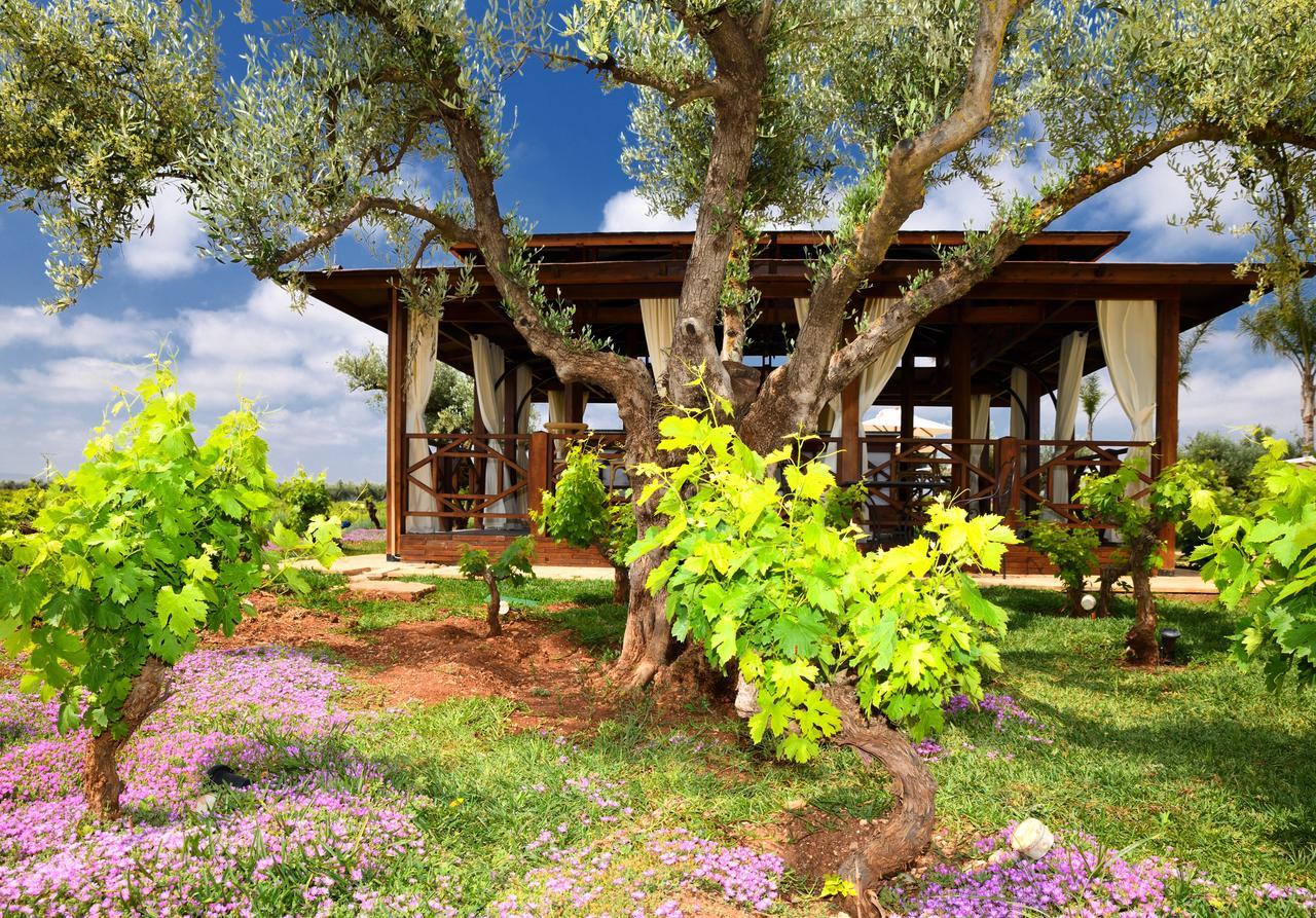 Chateau Roslane Boutique Hotel & Spa Meknes Exterior photo